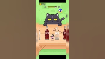 Hide and Seek Cat Escape! Level 17