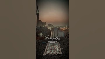 تلاوة خاشعة للقرآن الكريم بصوت الشيخ عبدالرحمن مسعد