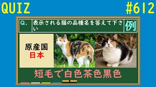【QUIZ】猫の品種名クイズ【#612】 screenshot 4