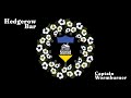 Hedgerow Bar - Folktronica Electronic Rock - Captain Wormburner