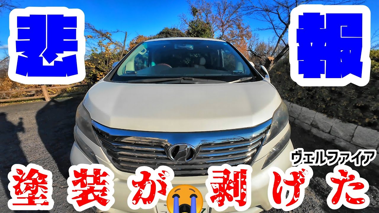 塗装剥がれ】ヴェルファイアの塗装剥がれと再塗装費用についてお話しし