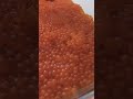 Making Fresh Salmon Roe #caviar From Scratch