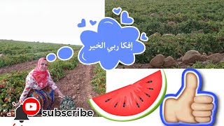 اجواء البلاد الطبيعة والفاكهة دخلو تشوفو معانا الأجواء كيدايرة