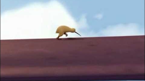 Pearl Jam - Wishlist (Kiwi!)