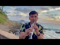 LA VIDA ES UN CARNAVAL- VERSION CLARINETE AU