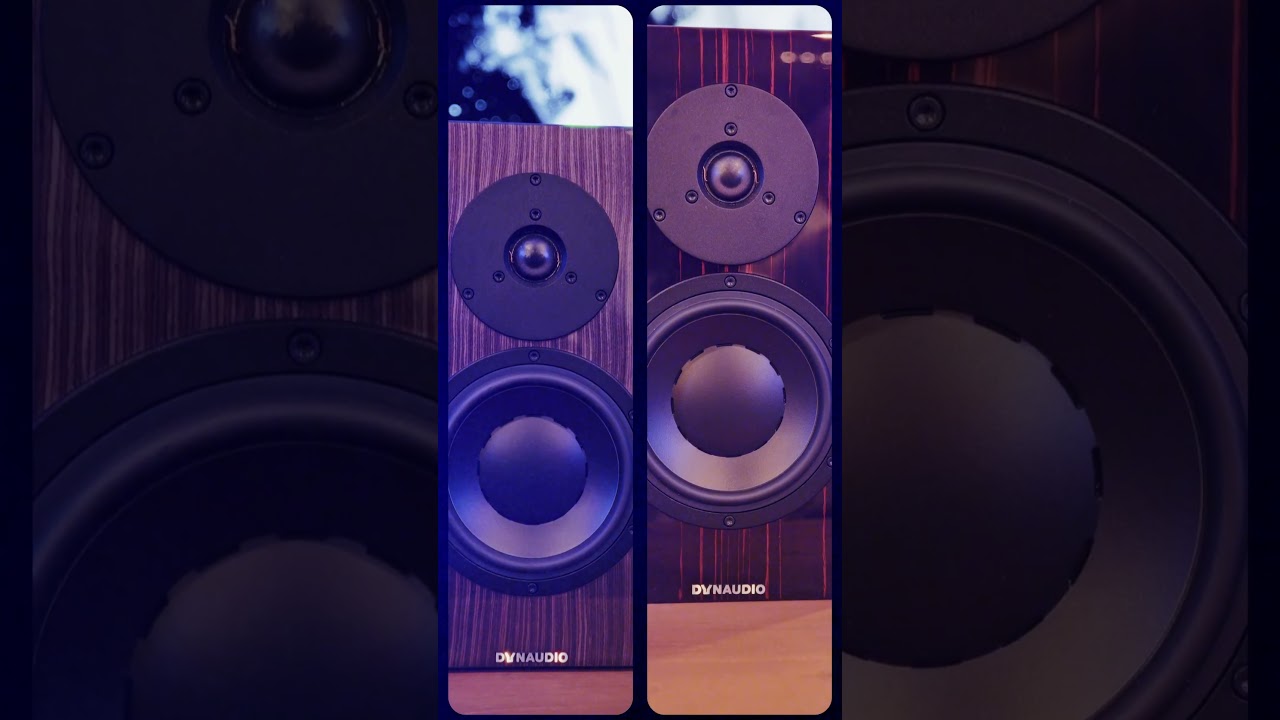 Paire D'enceintes Dynaudio Special Forty – 40th Anniversary – Black Vine – Neuves