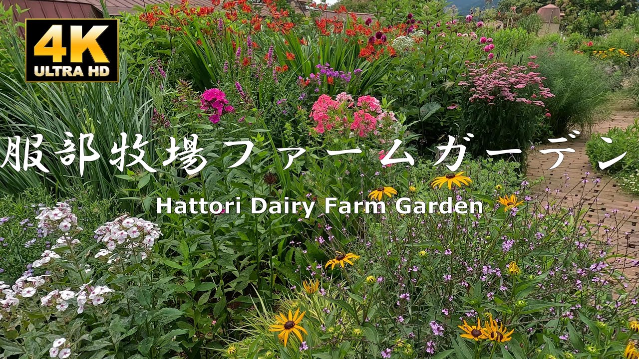 Мое первое посещение сада молочной фермы Хаттори было раем.