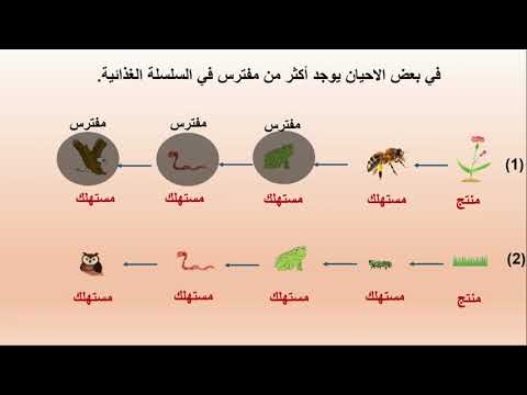 فيديو: لماذا لا يمكن لعمل الدم تقييم الحالة الغذائية للحيوانات الأليفة