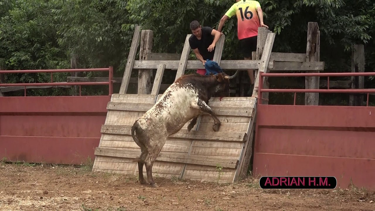 Visita ganadería Fernando Mansilla