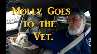 Molly&#39;s Vet Visit  04.14.20