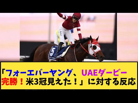 【競馬】｢フォーエバーヤング、UAEダービー完勝！米3冠見えた！」に対する反応【反応集】