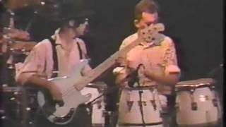 The Blow Monkeys - Superfly (Live)