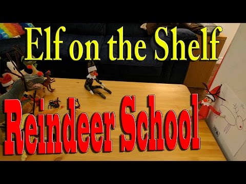 elf-on-the-shelf---reindeer-school