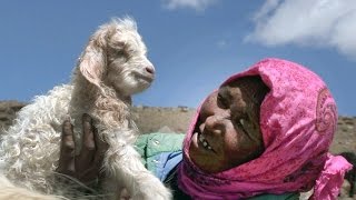 [Doku HD] Die Hirtin aus Ladakh