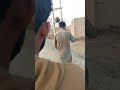 indicator dena chahiay #funny #comedy #viral #shorts#vlog