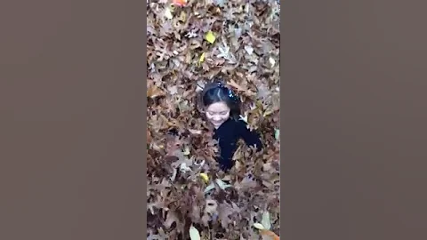 Fun in leaves November 2013