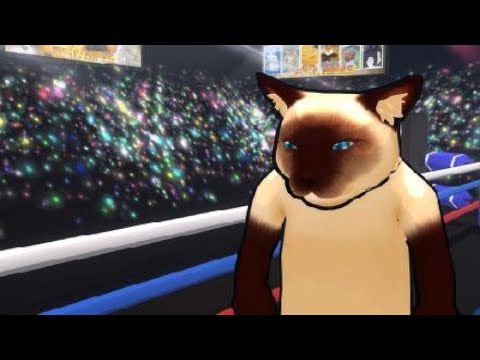 Fight of Animals Cat vs Fox