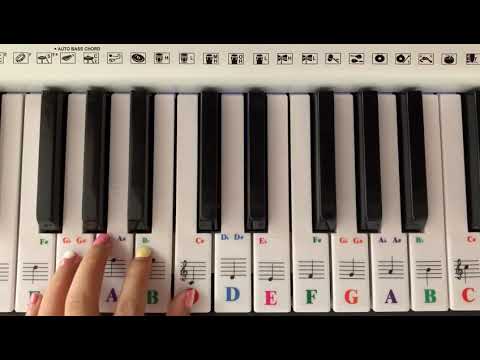 MAYA Piano Stickers 88Key Installation Video 