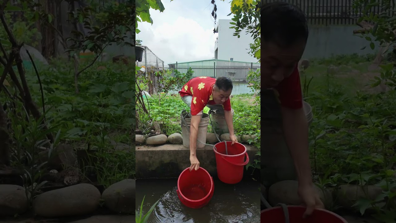 Đừng Khóc Đừng Hoảng Sợ Tôi Sẽ Tìm Thùng Giúp Bạn Vượt Dung Nham #haongchu