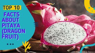 Top 10 Amazing Facts About Pitaya Dragon Fruit - Healthy Benefit Of Eating Dragon Fruit by Top10Best 396 views 2 years ago 4 minutes, 22 seconds