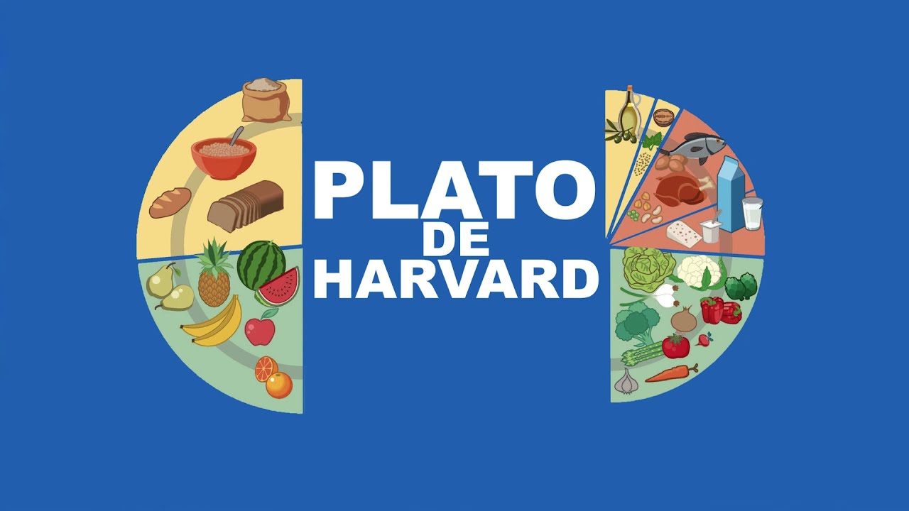 El Plato de Harvard y el batch cooking: Cómo organizar mi