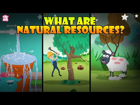 Video: What are natural resources?