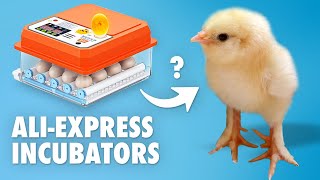 Chinese egg incubators - Do they work  Fully Automatic Chicken Egg Incubator