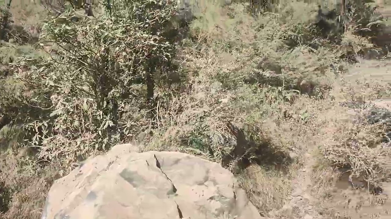 Trek to Gallu Temple Dharmakot