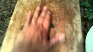 Chile Toreado - How to make a pepper mad spicy What Is Toreado