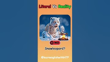 1+ Best of the Literal Vs Reality English Compound Words-177