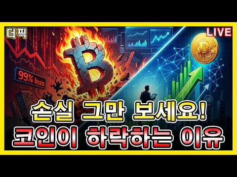 손실 그만 보세요! 코인이 하락하는 이유 [비트코인 알트코인 분석]
