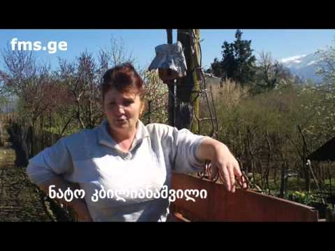 \"ახალგაზრდა რეპორტიორი\" -   გამრიცხველიანების პრობლემა ძიმითში