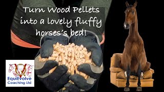 How To Use Wood Pellets As Bedding For A Horse