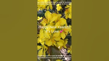 Thumbnail of Apricot Blossom