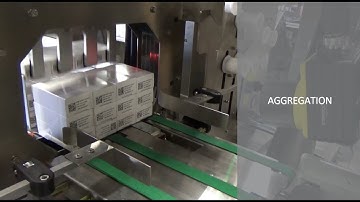 Serialization and Aggregation System by Pineberry Manufacturing & Adents V2