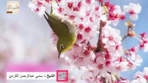 تلاوة عطرة للقارئ سامي عبد الرحمن الكردي