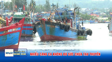 Nhiều cảng cá không đủ sức chứa tàu thuyền  | QNgTV