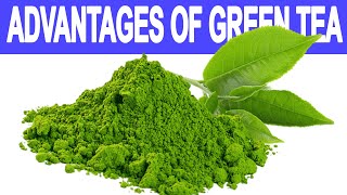 Top Advantages Of Green Tea And Green Tea Tea Benefits