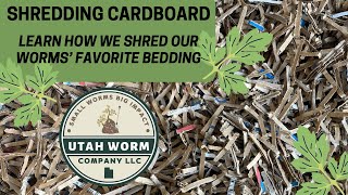 Shredding Cardboard For Worm Bedding