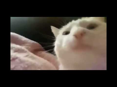 Это видео только для тех людей кому старше 65 лет 