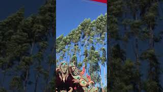 Phaxe festival tranceformation 2019 new song