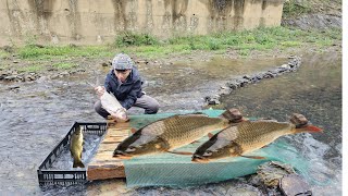 Two orphan brothers: amazing skills making fish traps in winter to make a living/ Lý Bằng