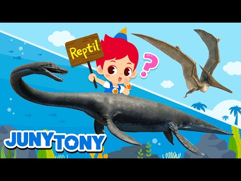 No Soy Un Dinosaurio | ¿Dinosaurio o Reptil? | Canciones Infantiles | JunyTony en español