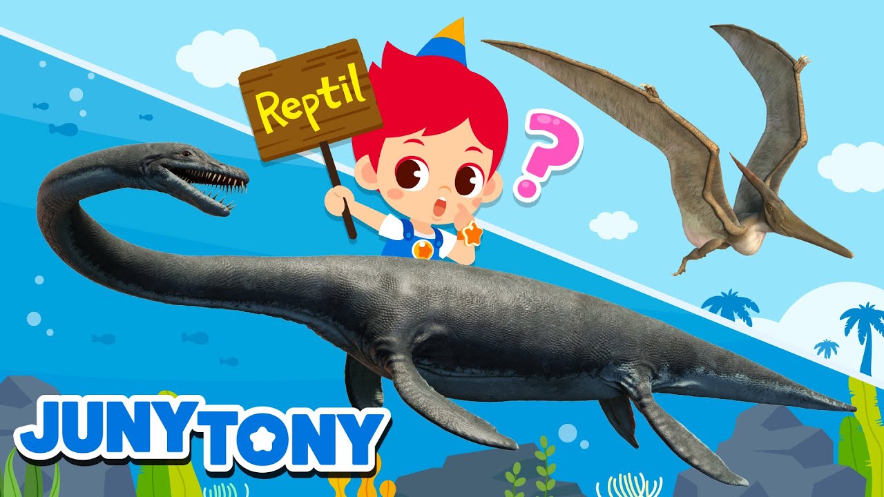 No Soy Un Dinosaurio | ¿Dinosaurio o Reptil? | Canciones Infantiles | JunyTony en español