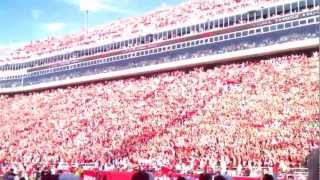 The Greatest Razorback Hog Call Ever 2012