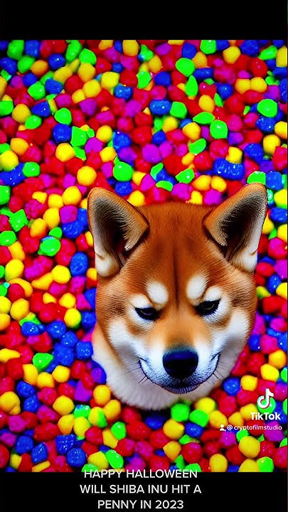 happy-halloween-and-will-shiba-hit-a-penny-shibainu-crypto-dogecoin