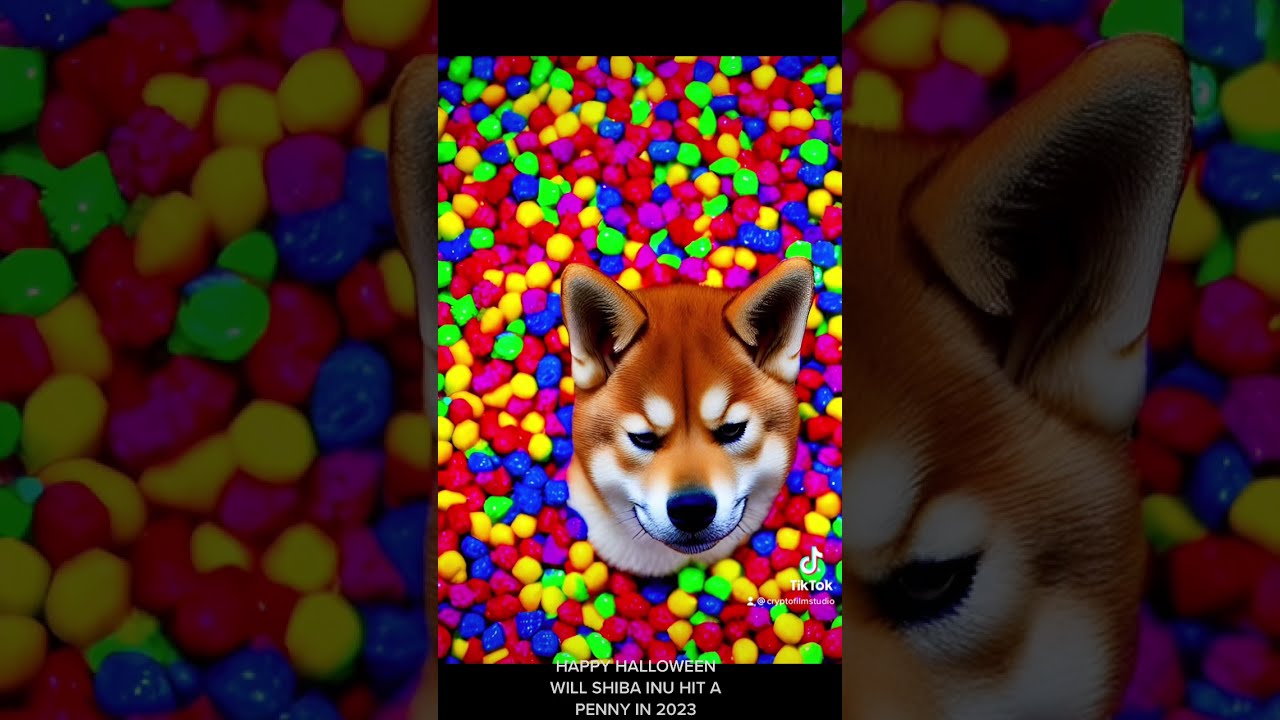 Happy Halloween And Will Shiba Hit A Penny shibainu crypto dogecoin Happy Halloween And Will Shiba Hit A Penny shibainu crypto dogecoin
