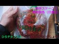 ひろチャンネル 23 「根岸ステークスからの高知競馬」