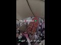 كلنا سلمان بن عبدالعزيز