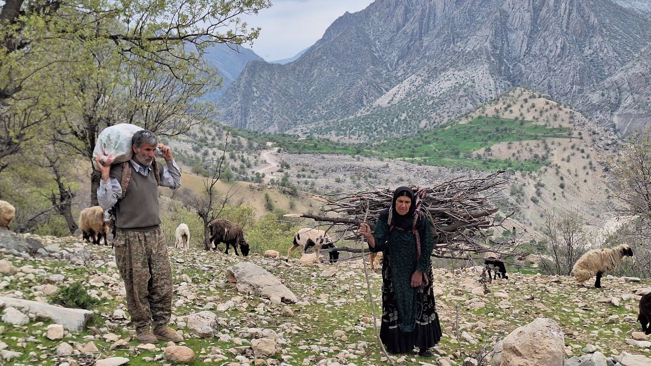 a-walk-in-nature-a-trip-to-the-mountains-to-graze-sheep-and-return-to